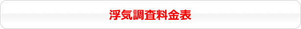 行動調査料金表