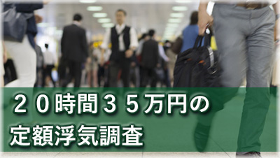 探偵豊田　浮気調査豊田　20時間25万円の定額浮気調査