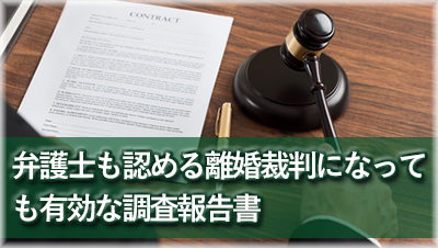 探偵安城　浮気調査安城　離婚裁判に有効な報告書報告書サンプル