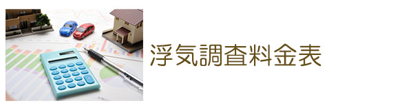 探偵岡崎　浮気調査料金表